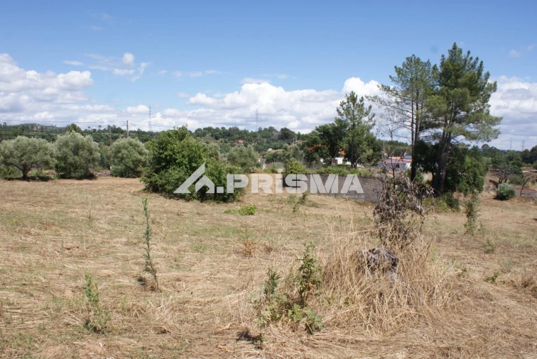 Terreno para Venda em Pero Viseu Foto 15