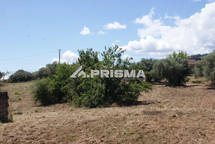 Terreno para Venda em Pero Viseu Foto 27