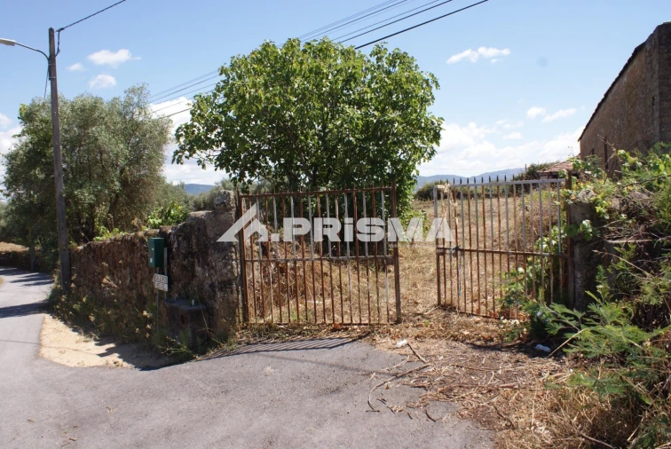 Terreno para Venda em Pero Viseu Foto 1