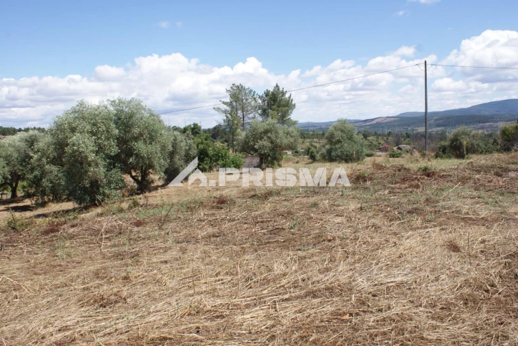 Terreno para Venda em Pero Viseu Foto 5