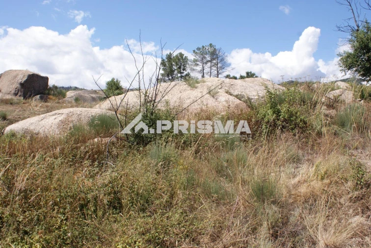 Terreno para Venda em Pero Viseu Foto 22