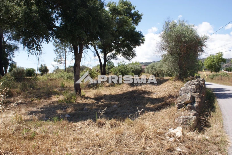 Terreno para Venda em Pero Viseu Foto 26