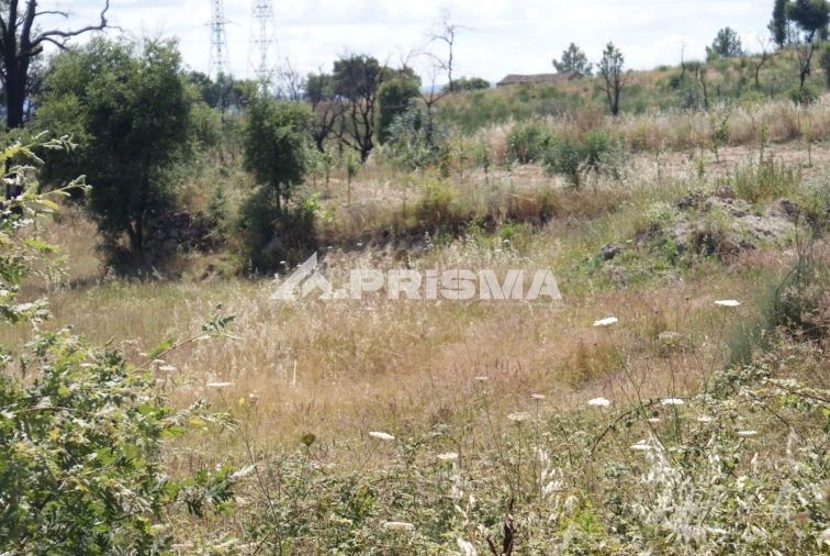 Terreno para Venda em Pero Viseu Foto 20