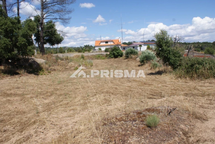 Terreno para Venda em Pero Viseu Foto 16