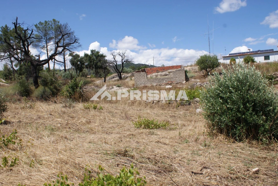 Terreno para Venda em Pero Viseu Foto 18