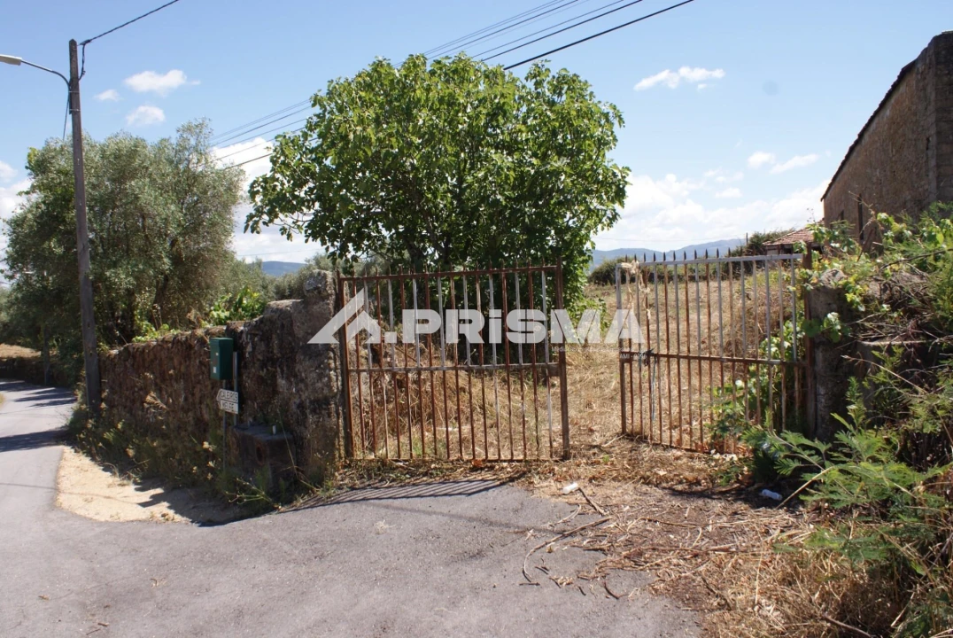 Terreno para Venda em Pero Viseu Foto 1