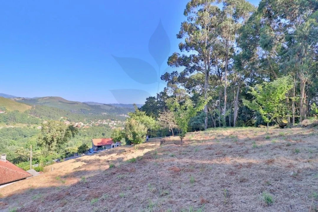 Terreno para Venda em Valbom (São Pedro), Passô e Valbom (São Martinho) Foto 4
