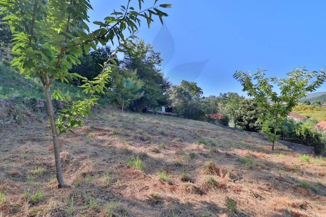 Terreno para Venda em Valbom (São Pedro), Passô e Valbom (São Martinho) Foto 3