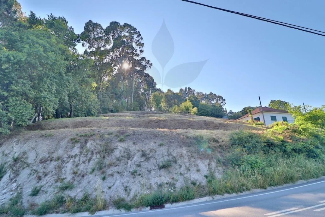 Terreno para Venda em Valbom (São Pedro), Passô e Valbom (São Martinho) Foto 1