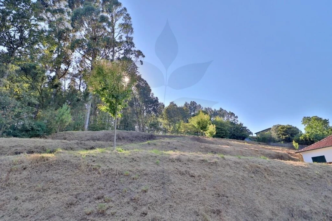 Terreno para Venda em Valbom (São Pedro), Passô e Valbom (São Martinho) Foto 2