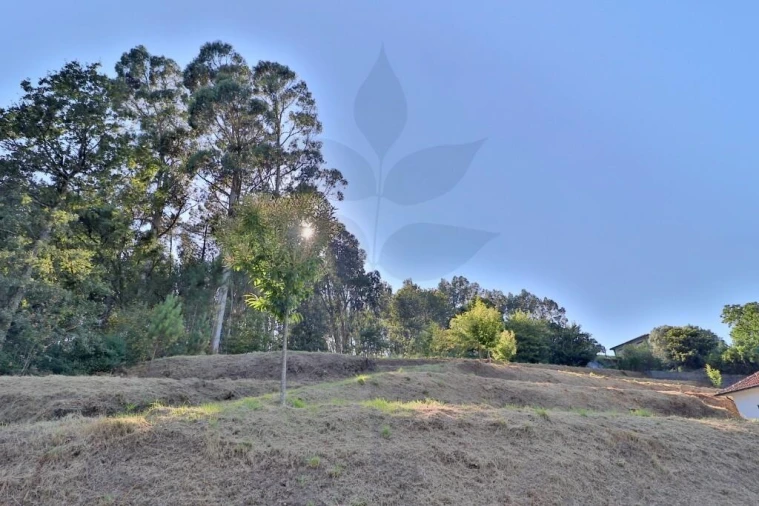 Terreno para Venda em Valbom (São Pedro), Passô e Valbom (São Martinho) Foto 17
