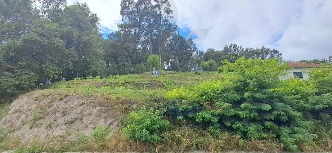 Terreno para Venda em Valbom (São Pedro), Passô e Valbom (São Martinho) Foto 22