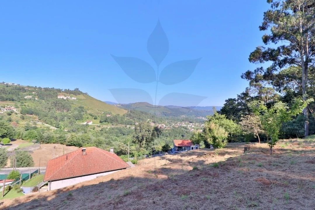 Terreno para Venda em Valbom (São Pedro), Passô e Valbom (São Martinho) Foto 6
