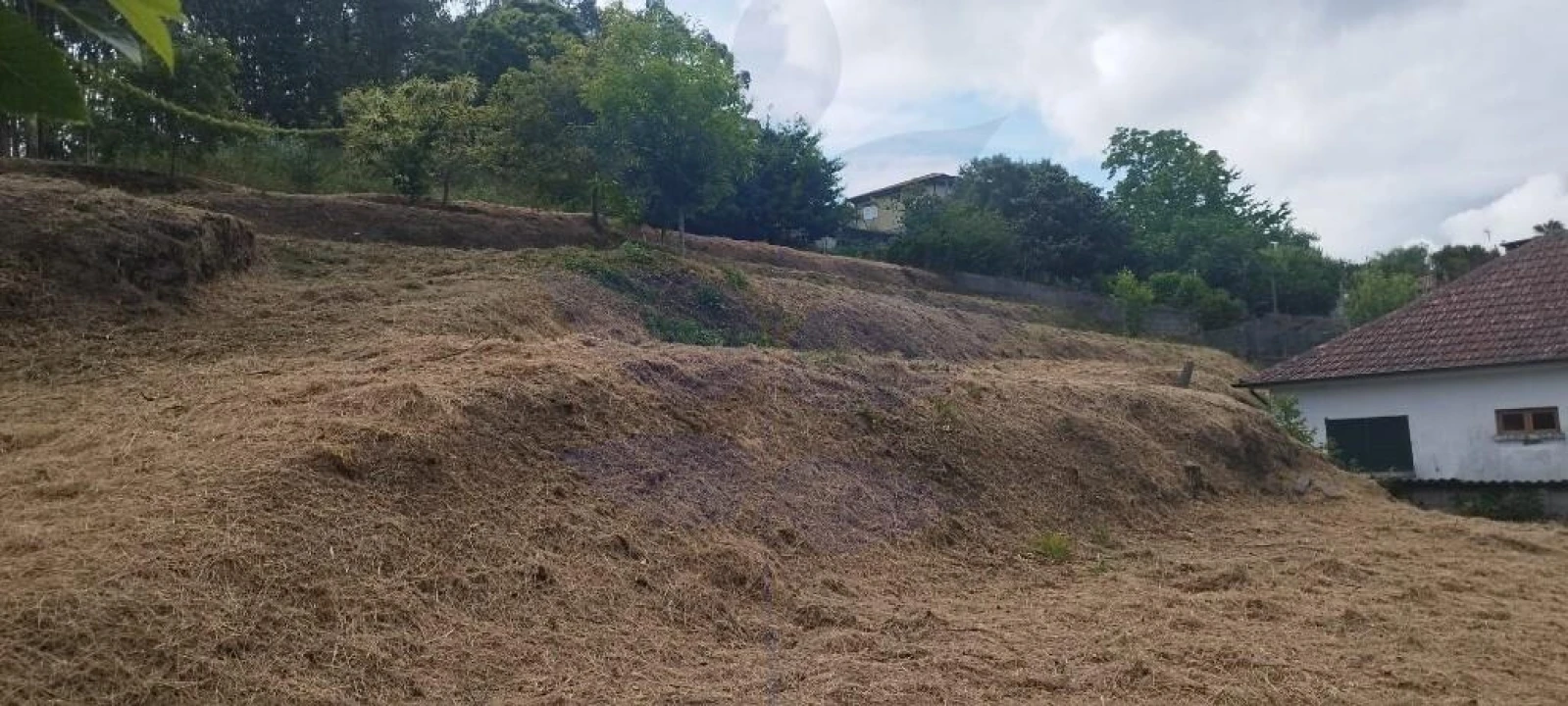 Terreno para Venda em Valbom (São Pedro), Passô e Valbom (São Martinho) Foto 8