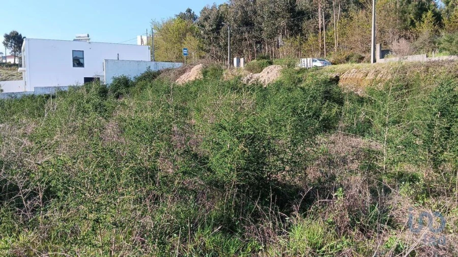 Terreno para Venda em Joane Foto 4