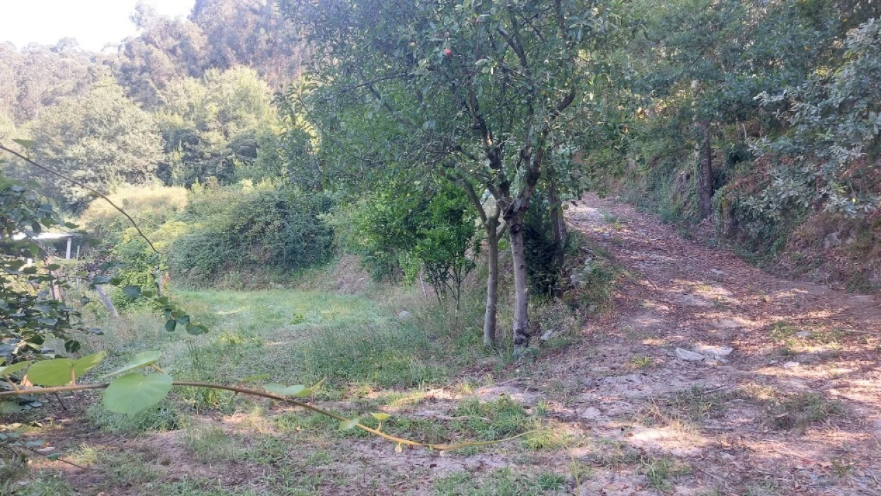 Terreno para Venda em Vilela, Seramil e Paredes Secas Foto 7