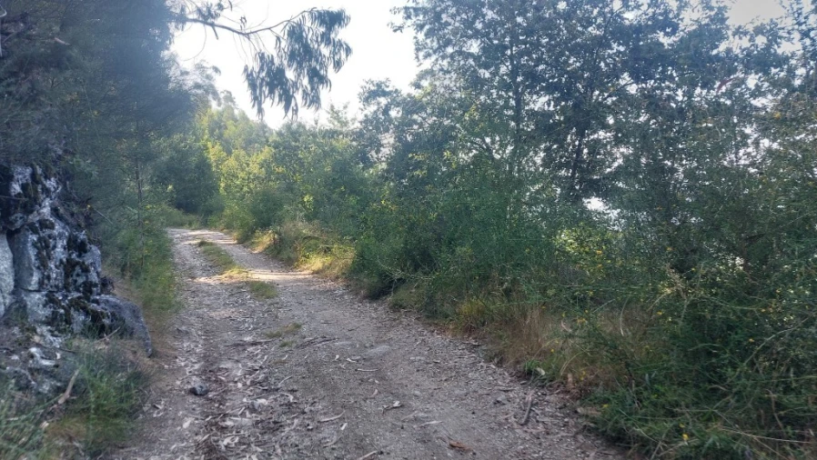 Terreno para Venda em Vilela, Seramil e Paredes Secas Foto 9