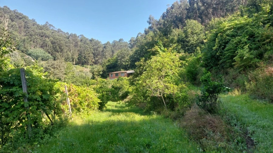 Terreno para Venda em Vilela, Seramil e Paredes Secas Foto 2