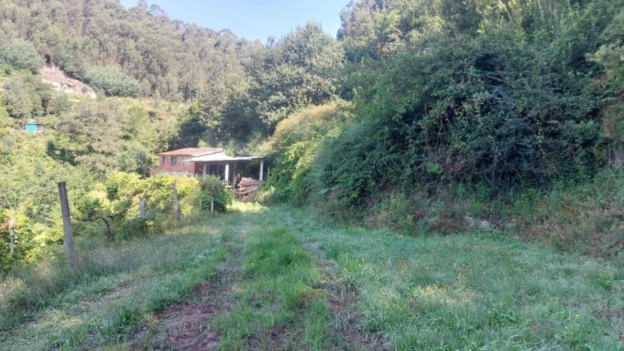Terreno para Venda em Vilela, Seramil e Paredes Secas Foto 6