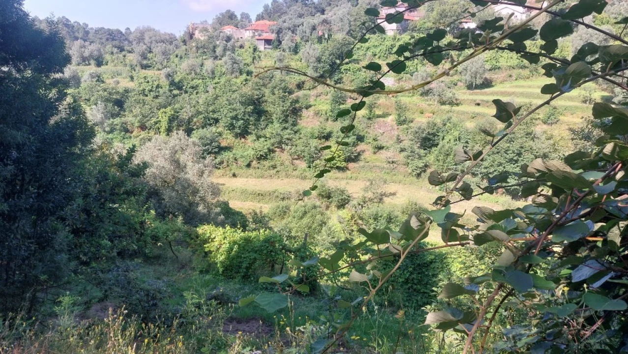 Terreno para Venda em Vilela, Seramil e Paredes Secas Foto 8