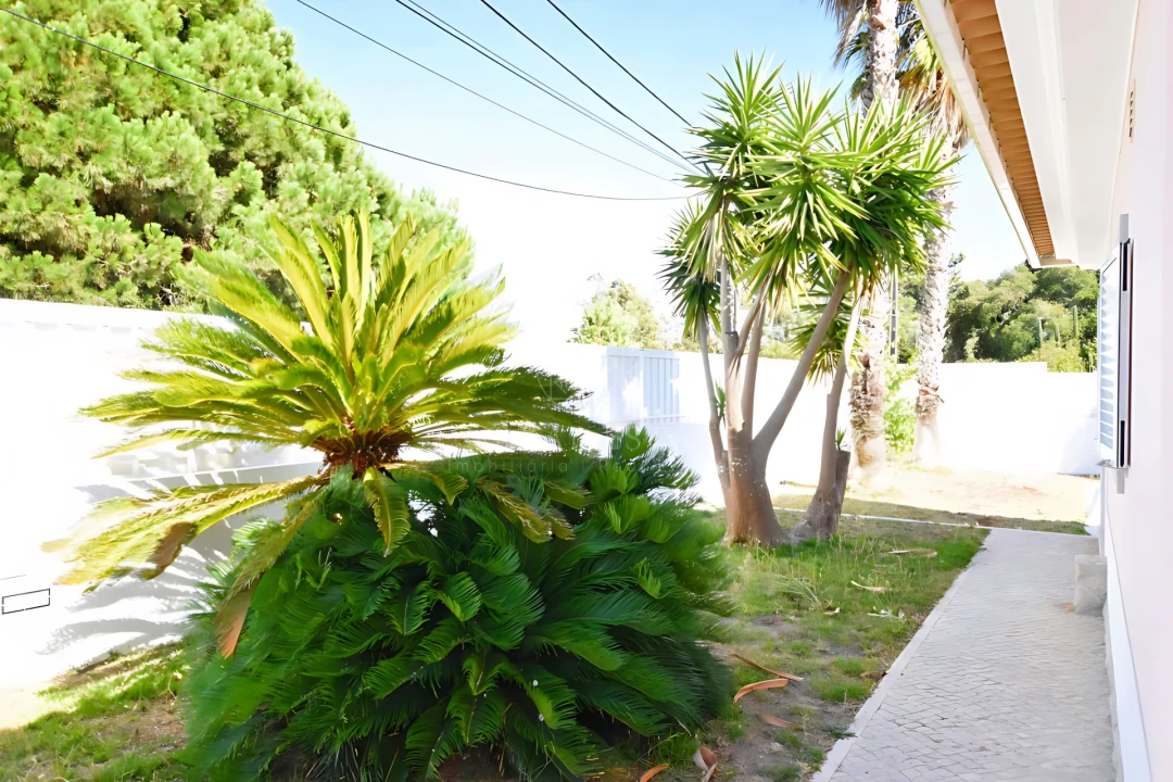 Moradia T3 para Venda em Sesimbra (Castelo) Foto 9