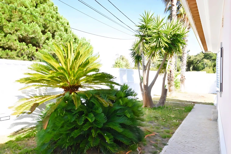 Moradia T3 para Venda em Sesimbra (Castelo) Foto 9