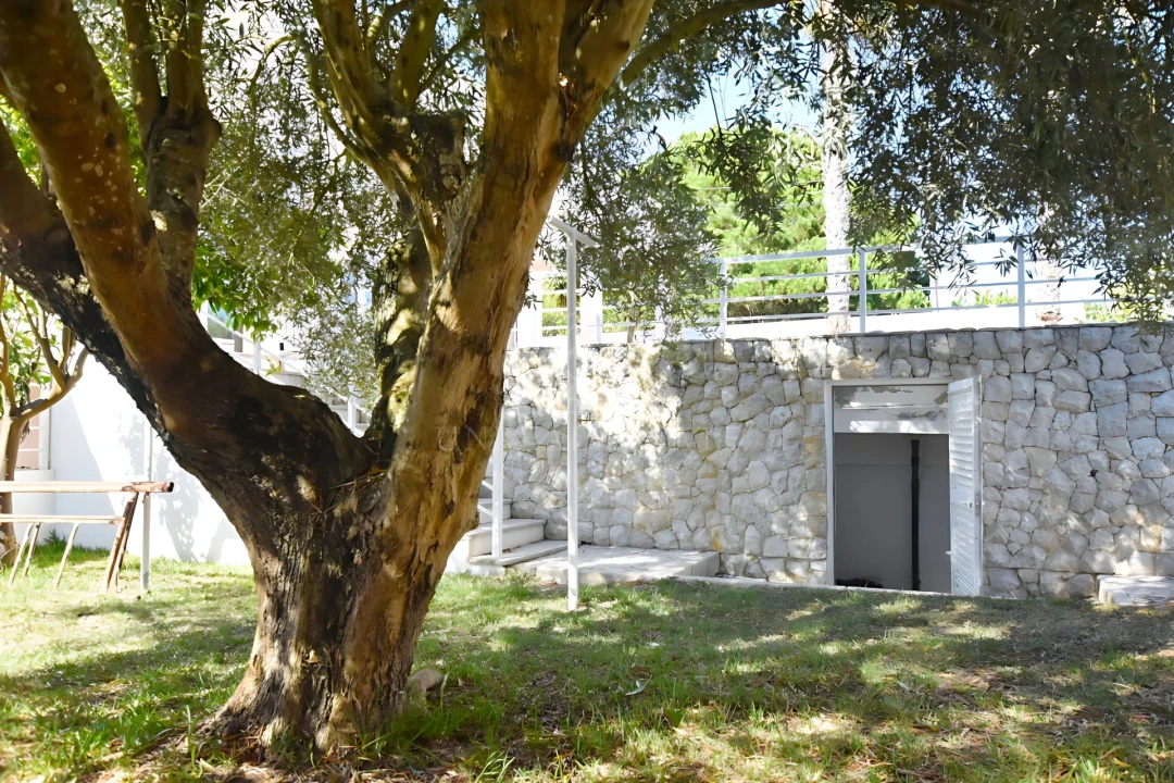 Moradia T3 para Venda em Sesimbra (Castelo) Foto 95