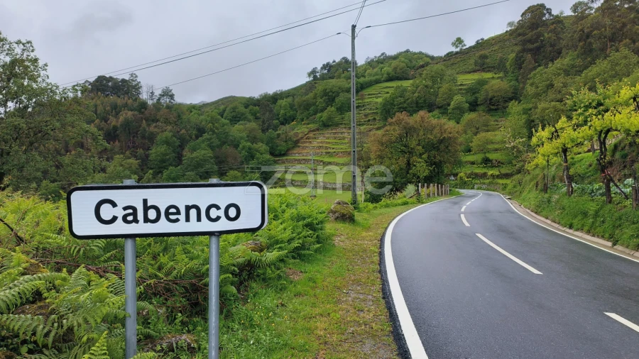 Terreno para Venda em Cibões e Brufe