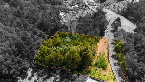 Terreno para Venda em Santa Cruz