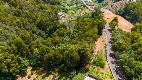 Terreno para Venda em Santa Cruz
