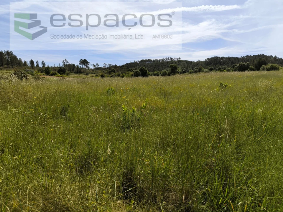 Terreno Agricola ou Rústico para Venda em Sarzedas Foto 1
