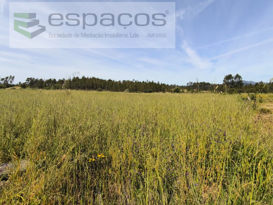 Terreno Agricola ou Rústico para Venda em Sarzedas Foto 2