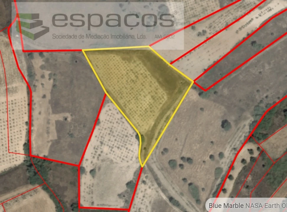 Terreno Agricola ou Rústico para Venda em Sarzedas Foto 4