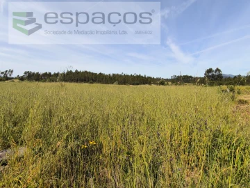 Terreno Agricola ou Rústico para Venda em Sarzedas