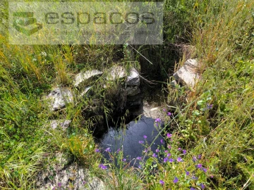 Terreno Agricola ou Rústico para Venda em Sarzedas