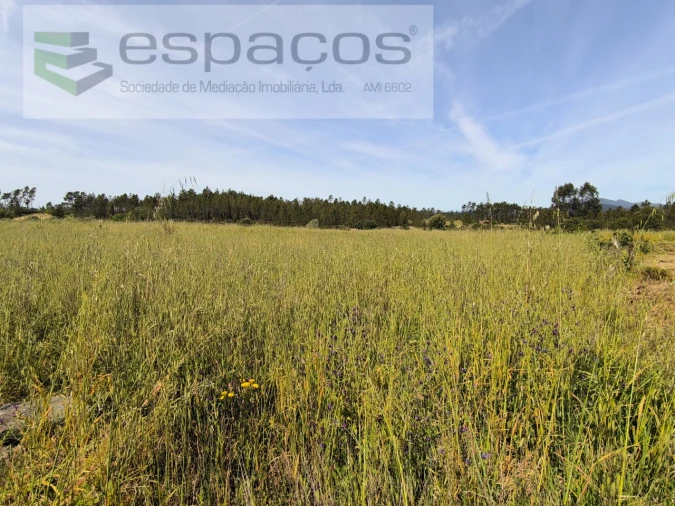 Terreno Agricola ou Rústico para Venda em Sarzedas Foto 2