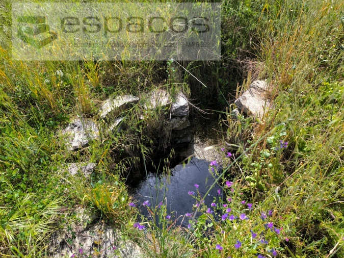 Terreno Agricola ou Rústico para Venda em Sarzedas Foto 3