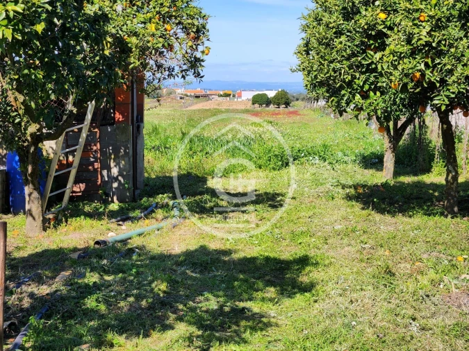 Moradia T4 para Venda em Alpiarça Foto 35