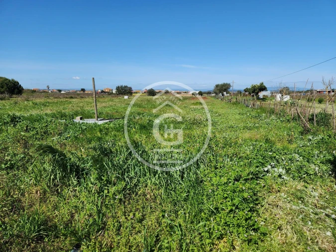 Moradia T4 para Venda em Alpiarça Foto 32