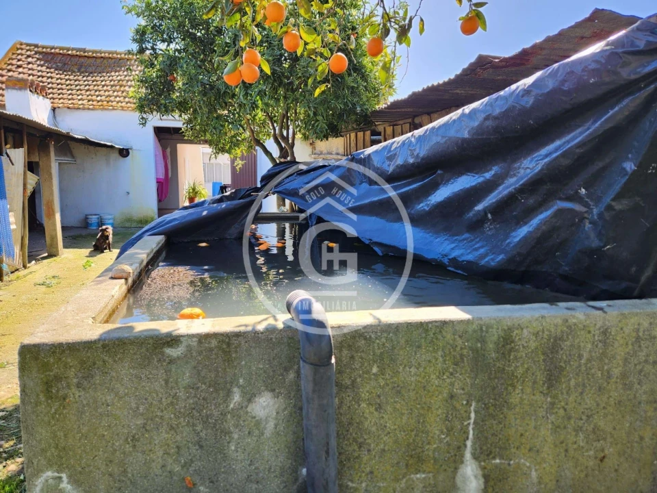 Moradia T4 para Venda em Alpiarça Foto 33