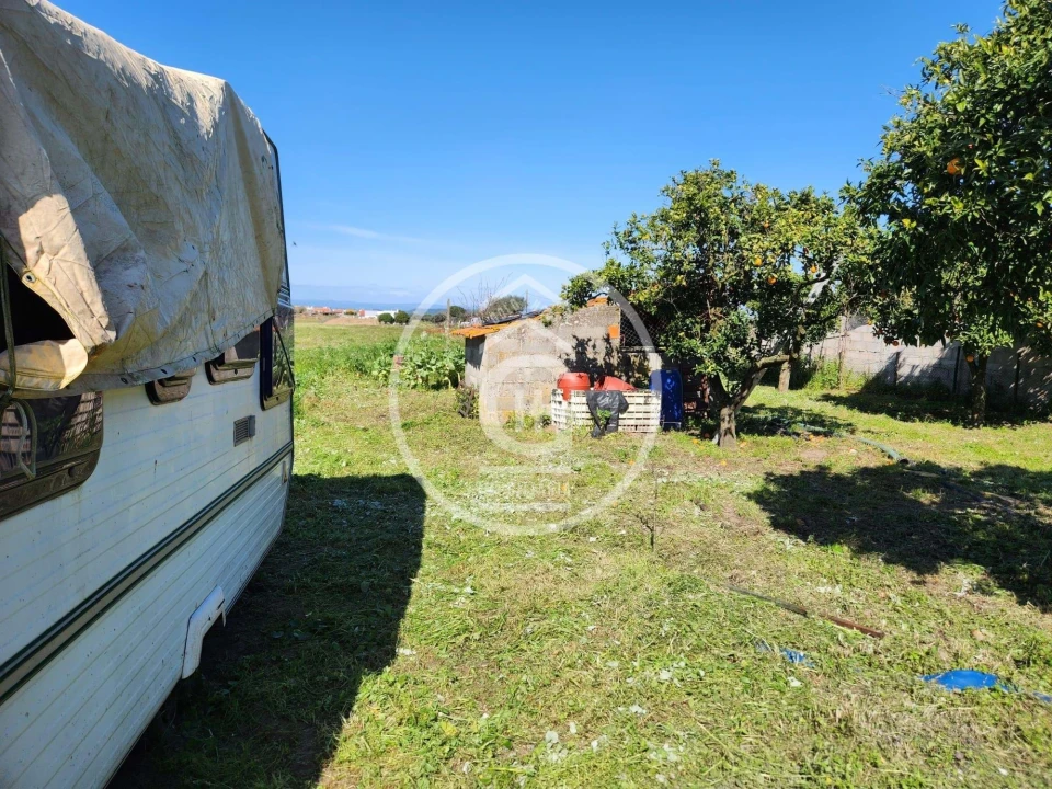 Moradia T4 para Venda em Alpiarça Foto 34