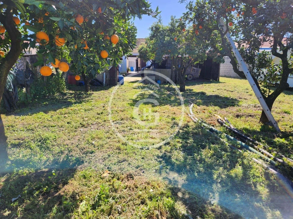 Moradia T4 para Venda em Alpiarça Foto 31