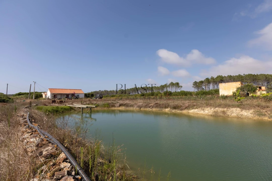 Quinta para Venda em Rogil Foto 3