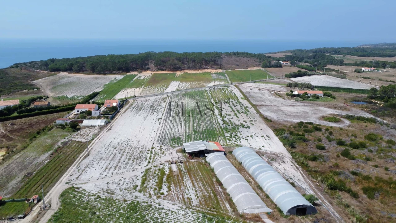 Quinta para Venda em Rogil Foto 6