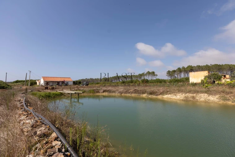 Quinta para Venda em Rogil Foto 3