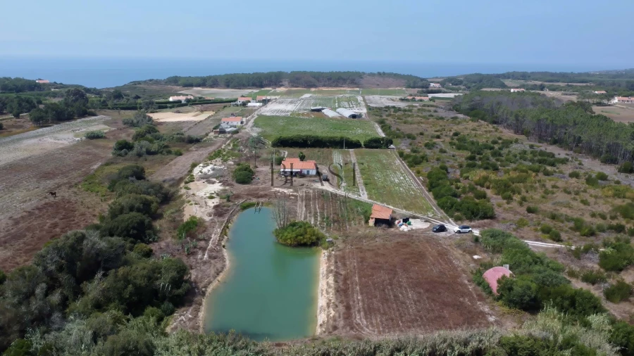 Quinta para Venda em Rogil