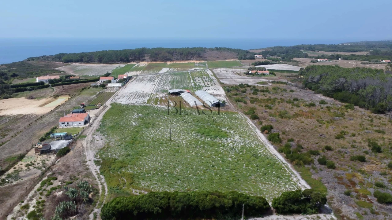 Quinta para Venda em Rogil Foto 5