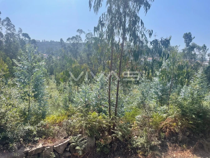 Terreno Agricola ou Rústico para Venda em Nine Foto 2