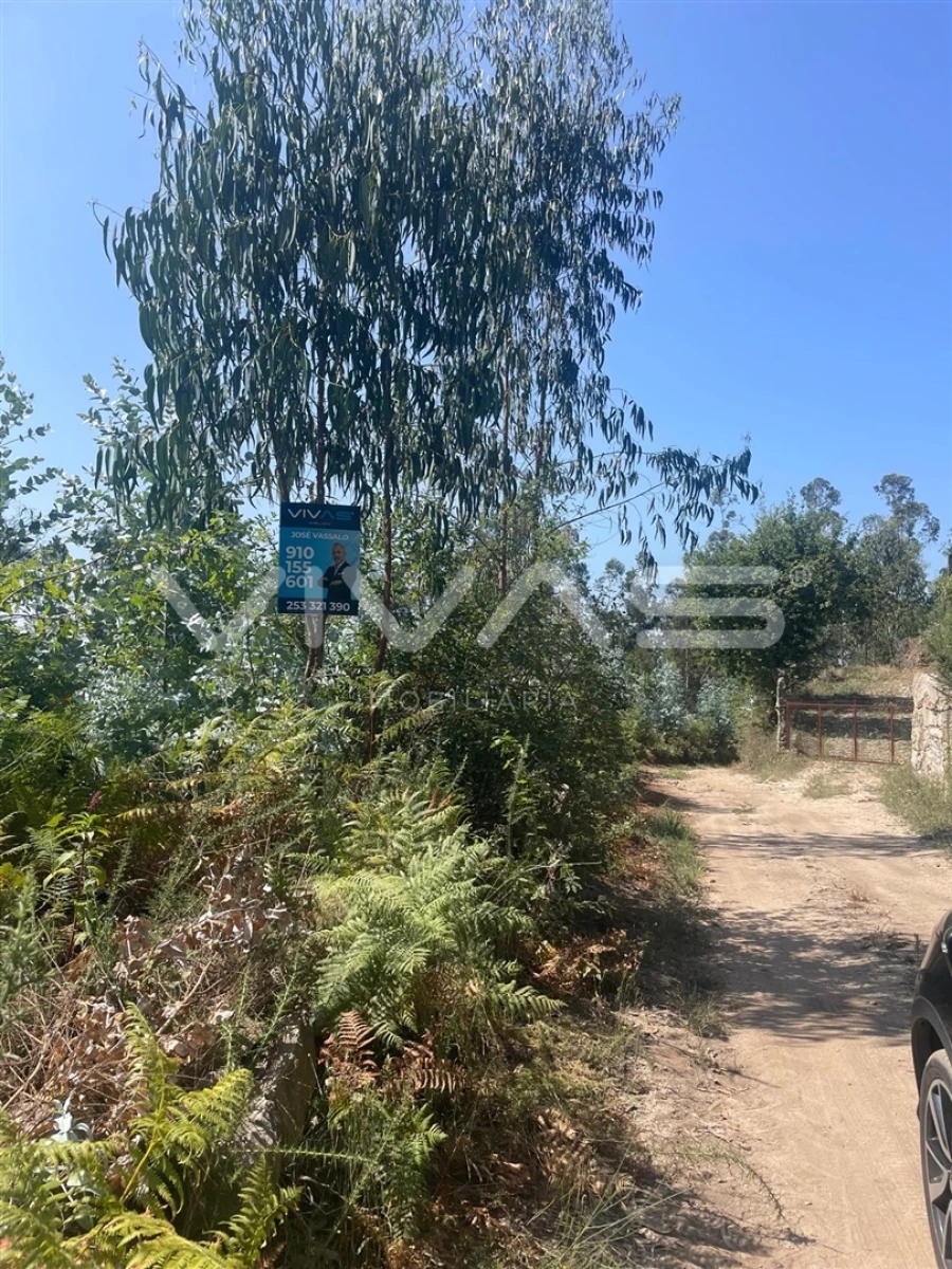 Terreno Agricola ou Rústico para Venda em Nine