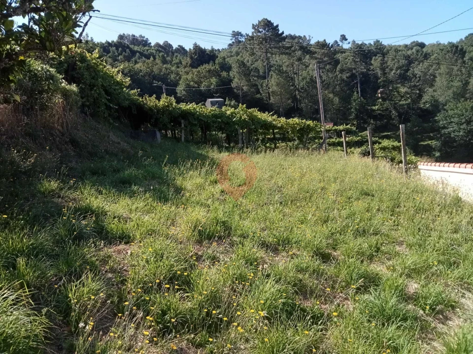 Moradia T3 para Venda em Riba de Mouro Foto 13